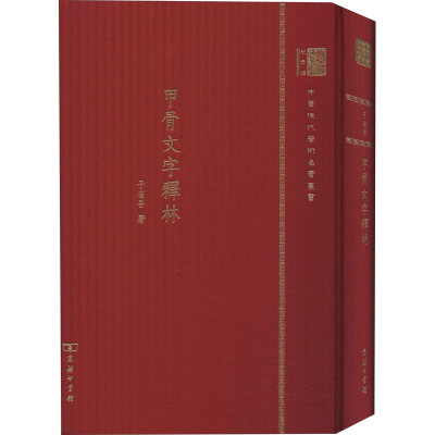 音像甲骨文字释林 120年纪念版于省吾