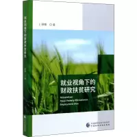 音像就业视角下的财政扶贫研究薛敏