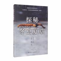 音像探秘冬虫夏草/探秘系列科普丛书王淑红,康帅主编