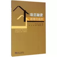 音像项目融资原理与技术陈志强