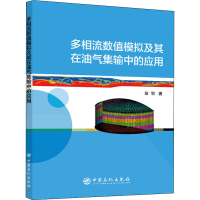 音像多相流数值模拟及其在油气集输中的应用翁羽