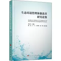 音像生态环境管理体制改革研究集黄平
