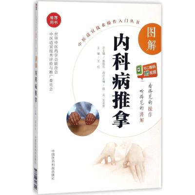 音像图解内科病推拿/中医适宜技术操作入门丛书王红