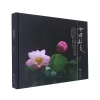 音像如荷知之(精)车双良|责编:徐霞