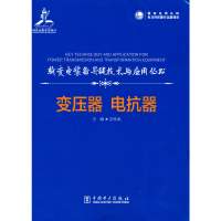 音像输变电装备关键技术与应用丛书 变压器 电抗器宓传龙