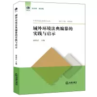 音像域外环境法典编纂的实践与启示刘洪岩主编