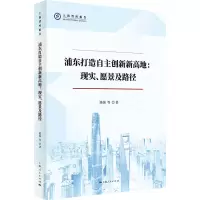 音像浦东打造自主创新新高地:现实、愿景及路径陈强 等