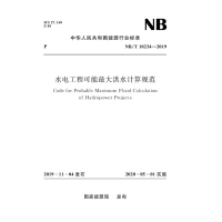 音像水电工程可能洪水计算规范(NB/T 104-2019)能源局