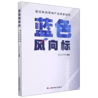 音像蓝色风向标(前沿科技领域产业创新趋势)SISS产研编著