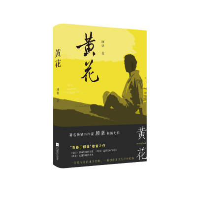 音像黄花顾坚