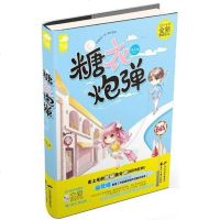 【二手8成新】糖衣 9787551118828