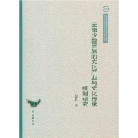 [二手8成新]云南少数民族的文化产业与文化传承机制研究/云南民族大学学术文库 9787105110001