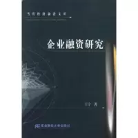 企业融资研究 王宁