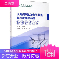 大功率电力电子装备超薄取向硅钢检测评估技术 巩学海 编 水利电力