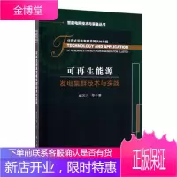 能源发电集群技术与实践 工业技术 盛万兴 等 科学出版社 9787030615602