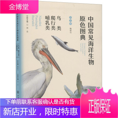 中国常见海洋生物原色图典 鸟类爬行类哺乳类 魏建功 少儿科普知识读本 海洋鸟类爬行类哺乳类的特点书籍