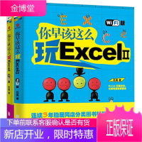你早该这么玩Excel+你早该这么玩Excel2WIFI版函数与图表应用教程宝典办公软件书籍