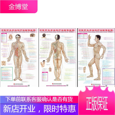 中医针灸手法与疗法标准挂图(共3张)(正背侧三张)中医针灸传承集粹