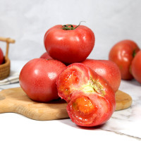 【靓果汇】露天西红柿5斤装 果园新鲜现摘发货 健康营养
