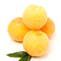 【靓果汇】安徽砀山黄桃5斤 约9-14个左右 新鲜水果 中大果