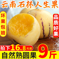 【靓果汇】云南石林人参果 一件16.8元起 新鲜现摘水果 圆果黄肉 （单果约60-80g左右）