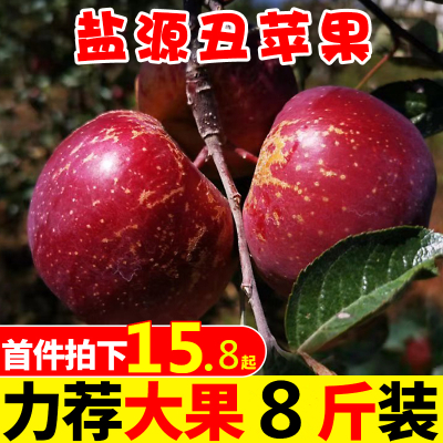 【靓果汇】大凉山冰糖心丑苹果5斤18.8元起 脆甜多汁