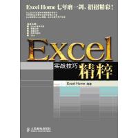 正版二手9成新 Excel实战技巧精粹