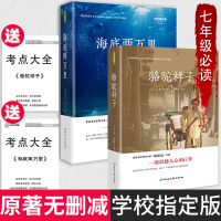 骆驼祥子海底两万里七年级下册必读 青少年完整无删减全译本初中生原著正版 海底二万里必读书籍 世界名著全套两册7年级必