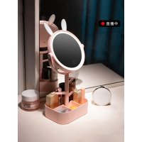 化妆镜子台式LED带灯日光桌面梳妆美妆收纳盒充电台灯网红可爱女