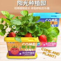 儿童种植吧阳光房玩具小学生花创意植物种菜科学实验套装手工diy