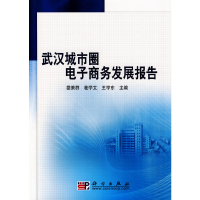 11武汉城市圈电子商务发展报告22