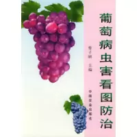11葡萄病虫害看图防治978710906165122