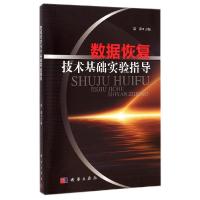 11数据恢复技术基础实验教程/郭果978703040617022