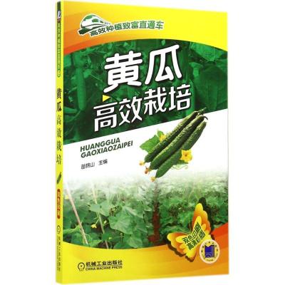 11黄瓜高效栽培(双色印刷)(12)978711147947522