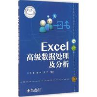 11Excel高级数据处理及分析978712124669222