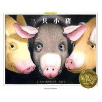 11三只小猪(绘本博物馆/大师经典系列)978753424924222