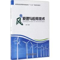 11风电原理与应用技术978751705130522