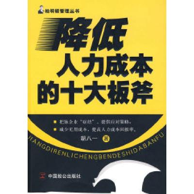 11降低人力成本的十大板斧978780179905022