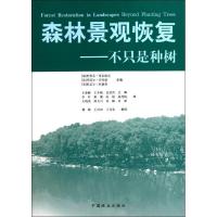 11森林景观恢复:不只是种树978750386298422