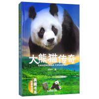 11大熊猫传奇-影像青少版978755142022822