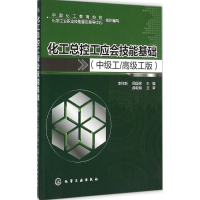 11化工总控工应会技能基础(中级工/不错工版)978712225628722