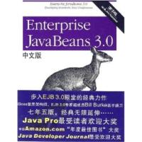 11EnterpriseJavaBeans3.0、9中文版、0(第5版)978712104001622