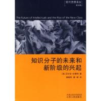 11知识分子的未来和新阶级的兴起978721403104422