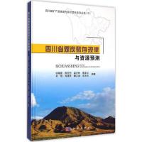 11四川省煤炭赋存规律与资源预测978703043240722