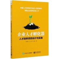 11企业人才孵化器:人才培养项目设计与实施978712139264122