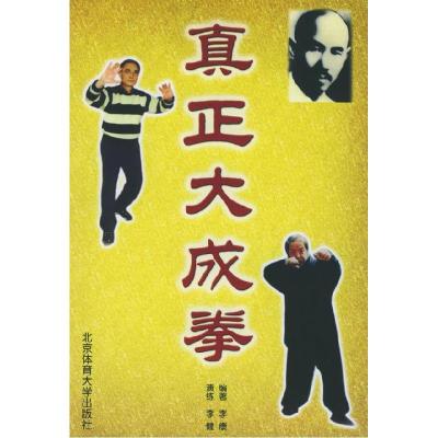 11真正大成拳978781100262122