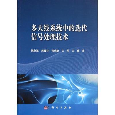 11多天线系统中的迭代信号处理技术978703040652122