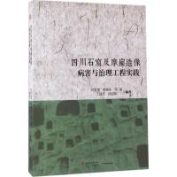 11四川石窟及摩崖造像病害与治理工程实践978756435310022