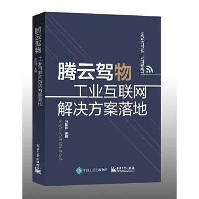 11腾云驾雾:工业互联网解决方案落地(精装)978712139178122