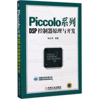 11Piccolo系列DSP控制器原理与开发978711157271822